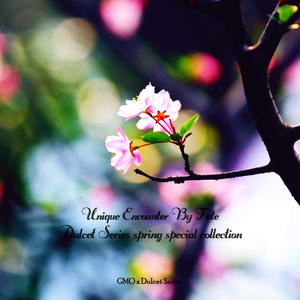 日本乱伦中文字幕
